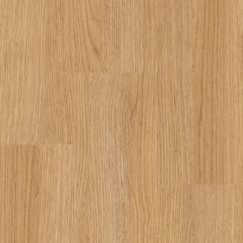 Cantebury oak