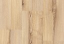 AS21 Tropea Ash